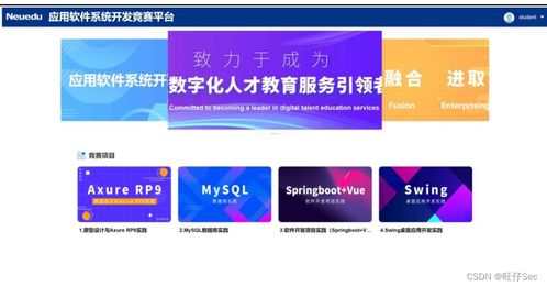 2023年四川省職業(yè)院校技能大賽高職組應(yīng)用軟件系統(tǒng)開發(fā)賽項(xiàng)樣題解析與軟件開發(fā)技術(shù)推廣