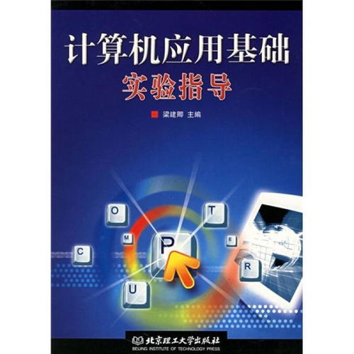 計算機(jī)應(yīng)用基礎(chǔ)實驗指導(dǎo)（第二版）