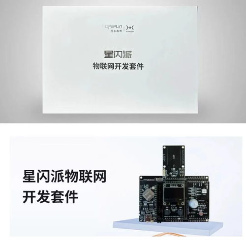 潤和軟件攜“星閃”“鴻蒙”產品亮相FCES2024未來計算機教育峰會，引領軟件開發新趨勢