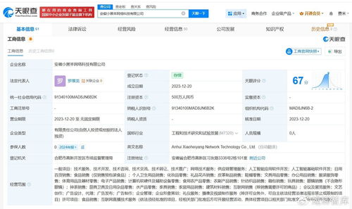 揭秘三只羊美國上市關聯公司 網絡技術服務如何賦能直播電商生態
